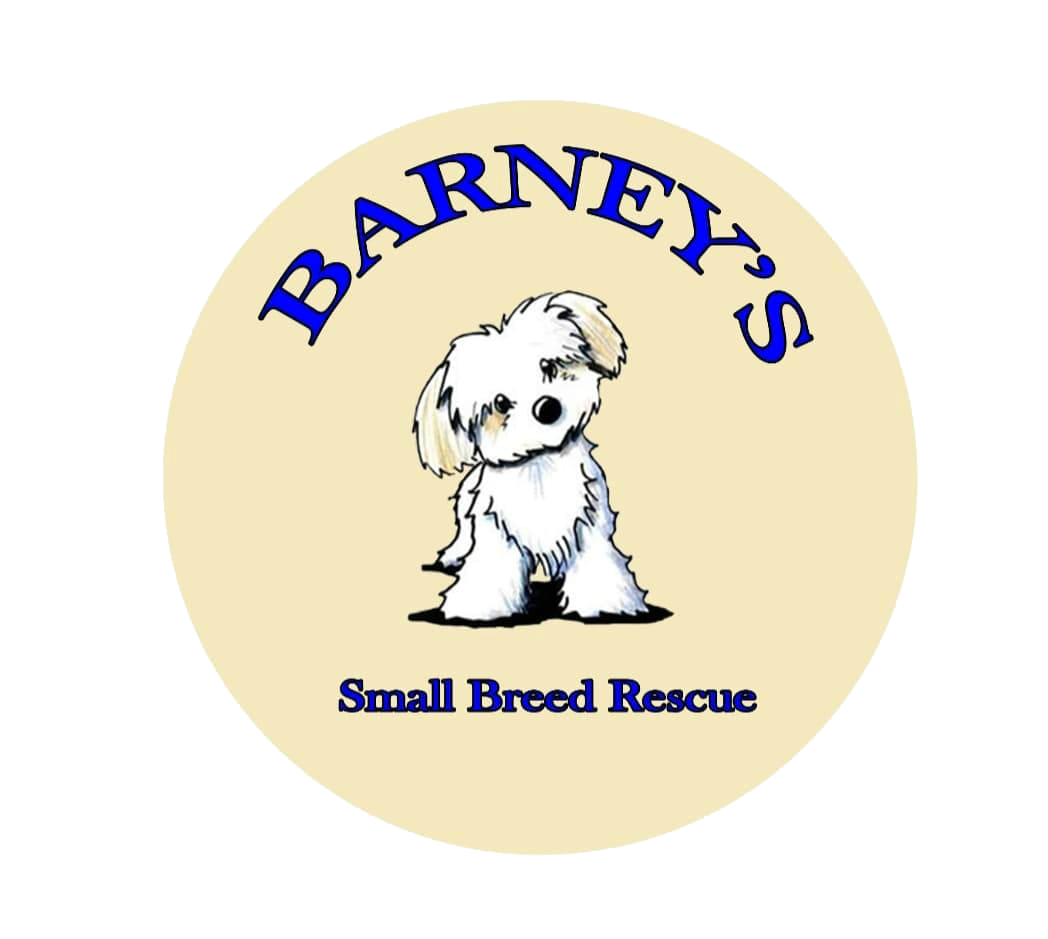 Barneys Small Breed Rescue
